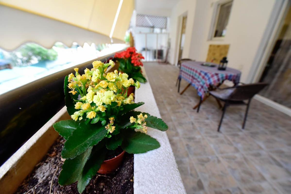 Athens Beauty 5 Minutes From Attractions Apartment Exterior foto